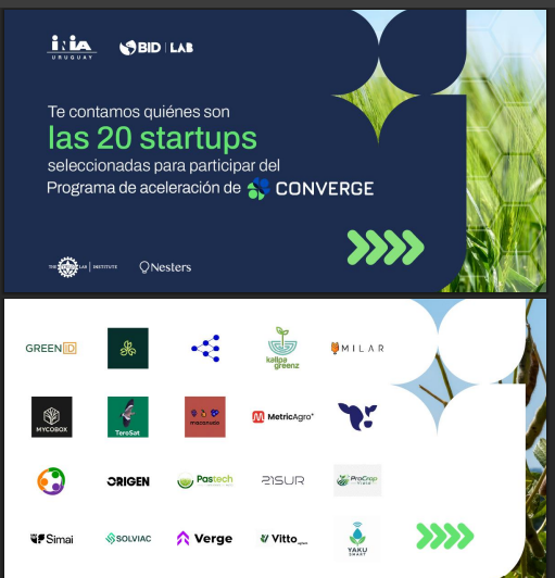 Converge INIA 2026